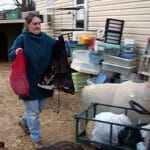 Kedi diş sağlığı - Cat Processing 101