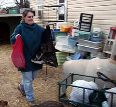 Kedi diş sağlığı - Cat Processing 101