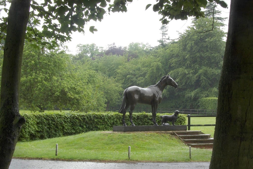 kedilerde-bobrek-yetmezligi-2 Kedilerde Böbrek Yetmezliği: Belirtiler, Nedenleri ve Bakım Rehberi